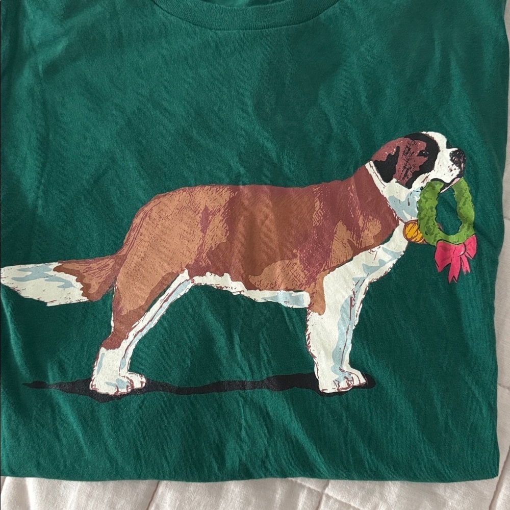 J Crew St Bernard Short Sleeved Graphic T Shirt Size L Teal Green - Picture 2 of 5